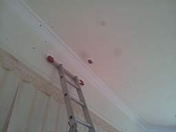 fkillineybeforeinternal 1140.jpg